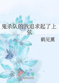 鬼灭之刃【鬼杀队见闻录二】