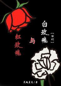 红玫瑰与白玫瑰主人公