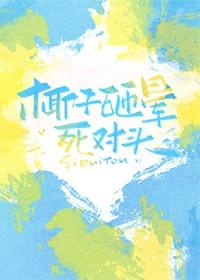 椰子砸晕死对头北苍树
