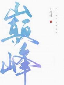 巅峰极速渠道服