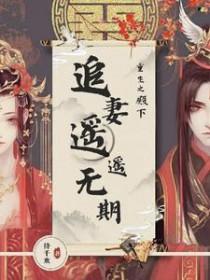 殿下追爱