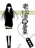 重生之老公的