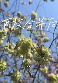 两校合并是什么意思