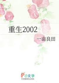 重生2002之金钱人生