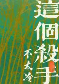 这个杀手不太冷原著