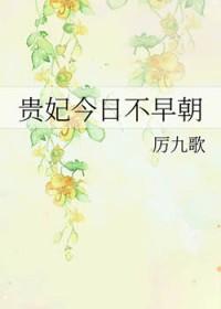 今天贵妃失宠了吗