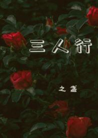 三人行(1v2)安译杨之易txt资源