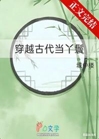 穿越古代当丫鬟城中楼晋江