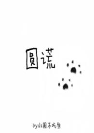 歌曲圆谎