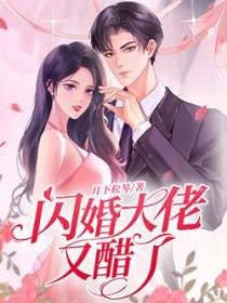 闪婚大佬宠妻上天全文免费