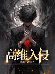 高维入侵七流笔奇阁