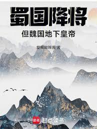 魏国哪位将领攻入蜀国