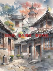 重生四合院中年傻柱