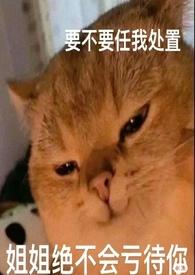 论女a与哨向的兼容性第八十一天