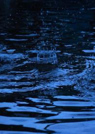 春风雨纯百内容