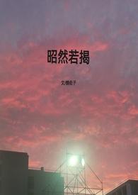昭然若揭(高h,1V1)